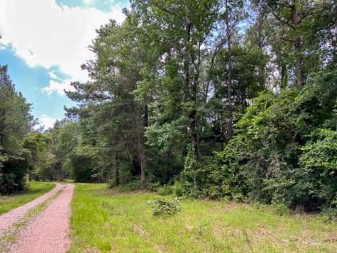 0000 County Road 1325 Woodville TX 75979