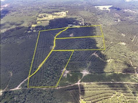 0000 County Road 1325 Woodville TX 75979