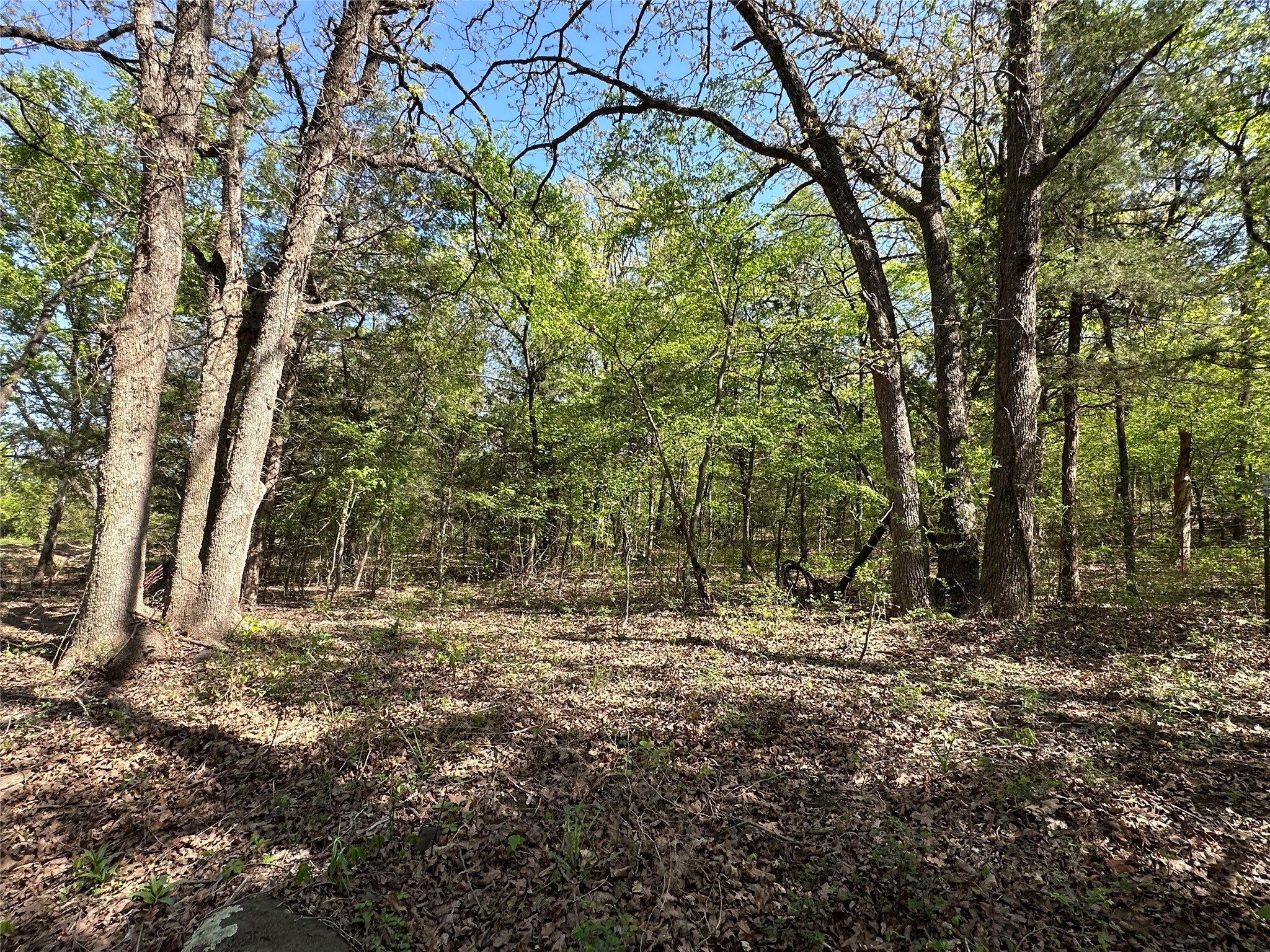 Tbd Lot 4 Cr-197 Gainesville TX 76240
