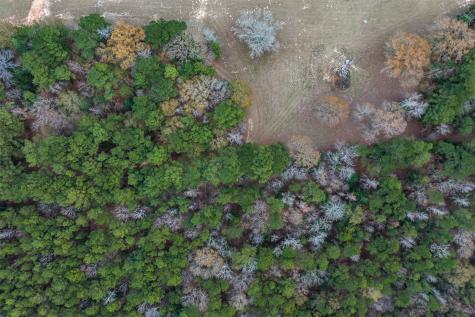 14770 Fm 315 Palestine TX 75803