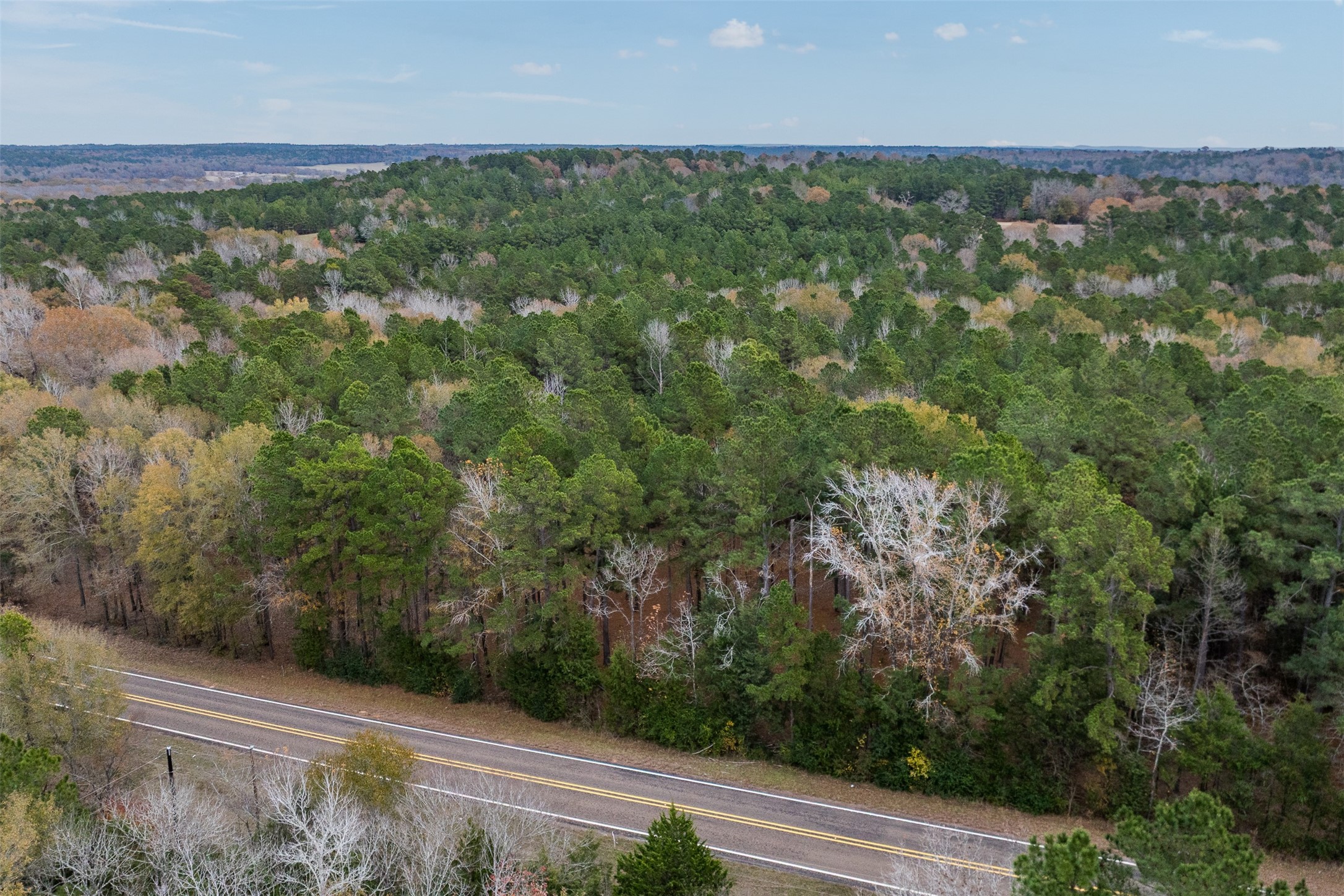 14770 Fm 315 Palestine TX 75803