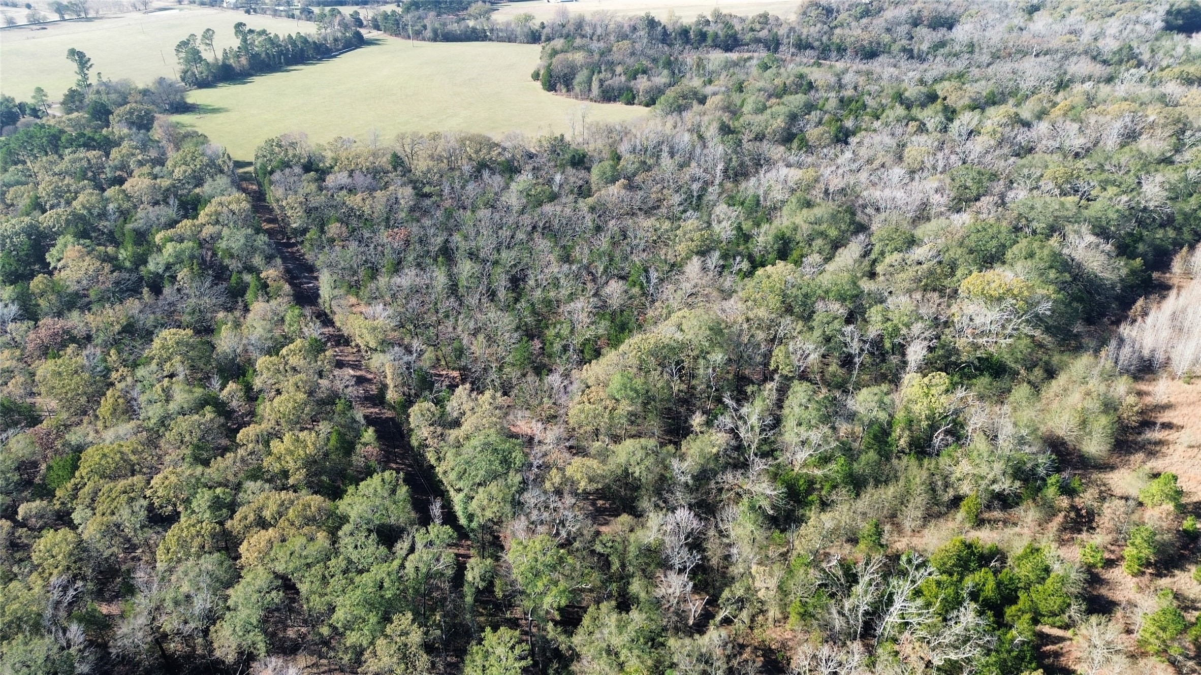 Tbd Lot 2 Vz County Road 4134 Canton TX 75103