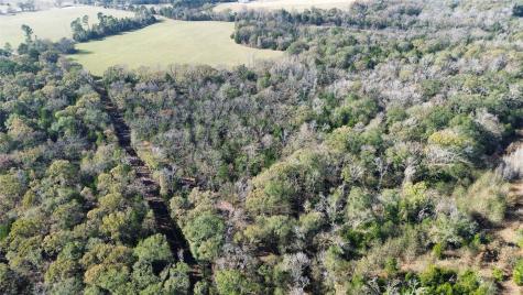 Tbd Lot 2 Vz County Road 4134 Canton TX 75103