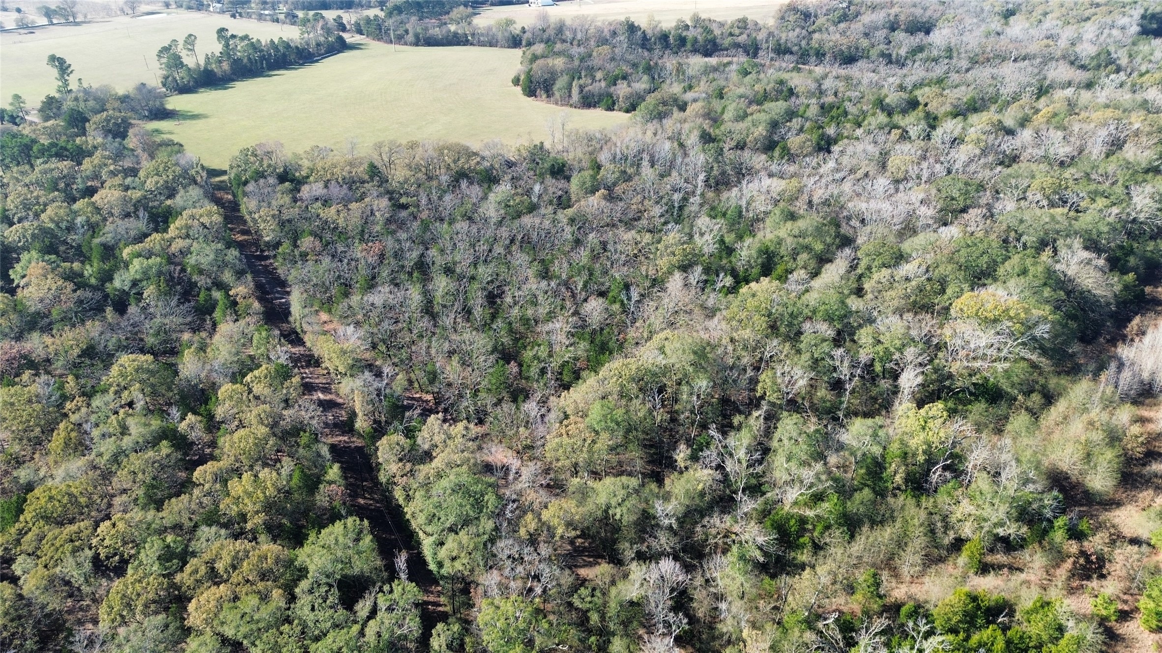 Tbd Lot 2 Vz County Road 4134 Canton TX 75103