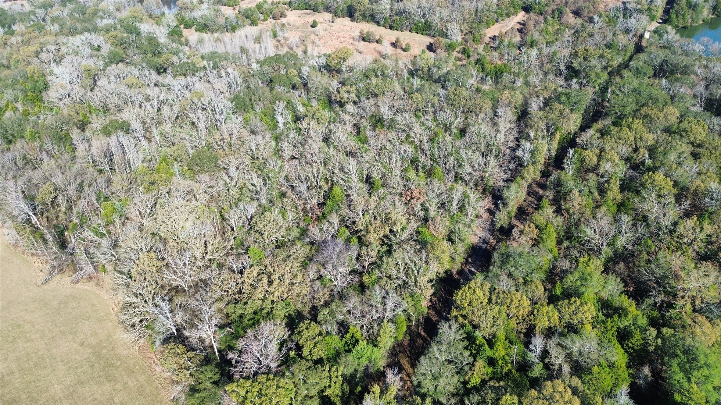 Tbd Lot 2 Vz County Road 4134 Canton TX 75103