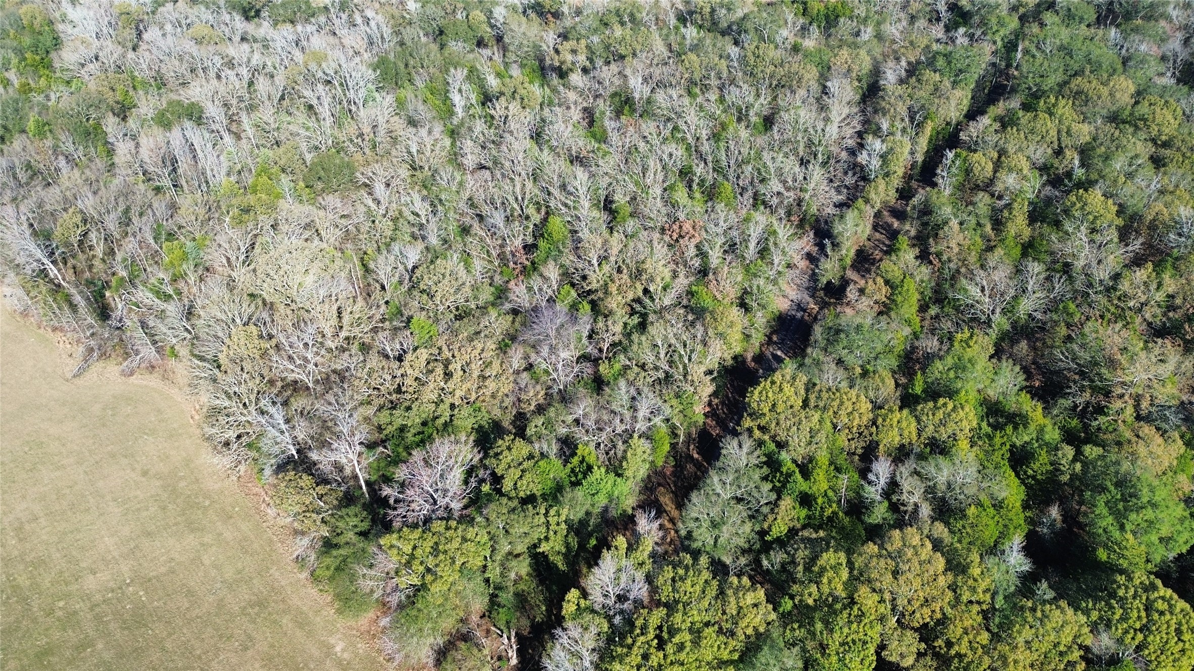 Tbd Lot 2 Vz County Road 4134 Canton TX 75103