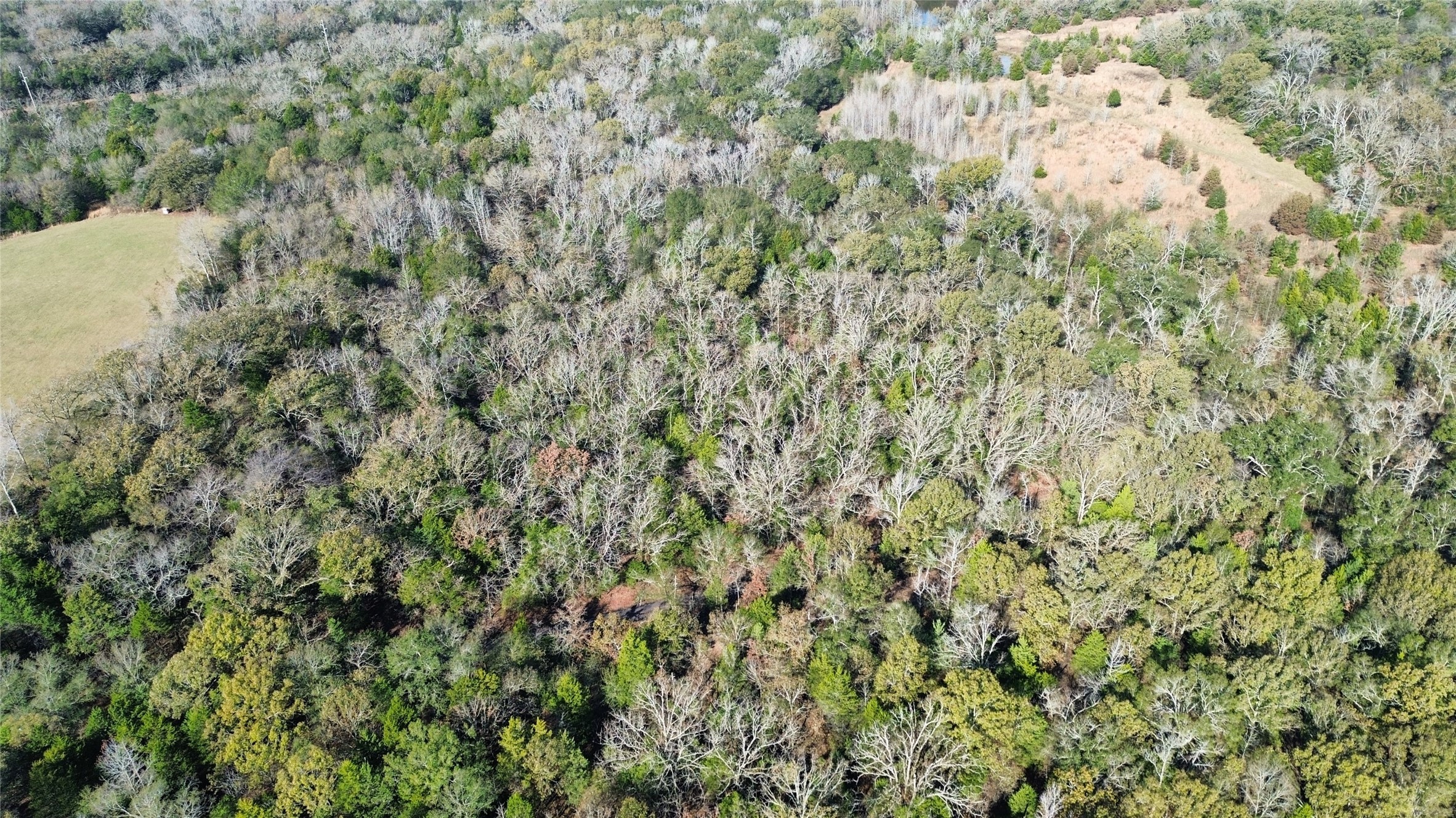 Tbd Lot 2 Vz County Road 4134 Canton TX 75103