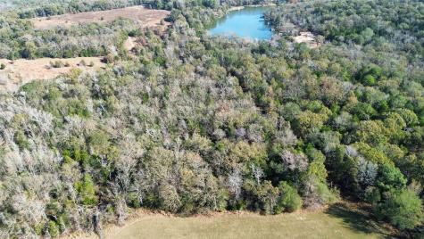 Tbd Lot 2 Vz County Road 4134 Canton TX 75103