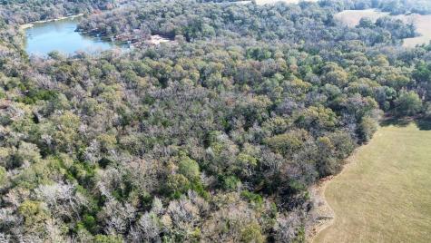 Tbd Lot 2 Vz County Road 4134 Canton TX 75103