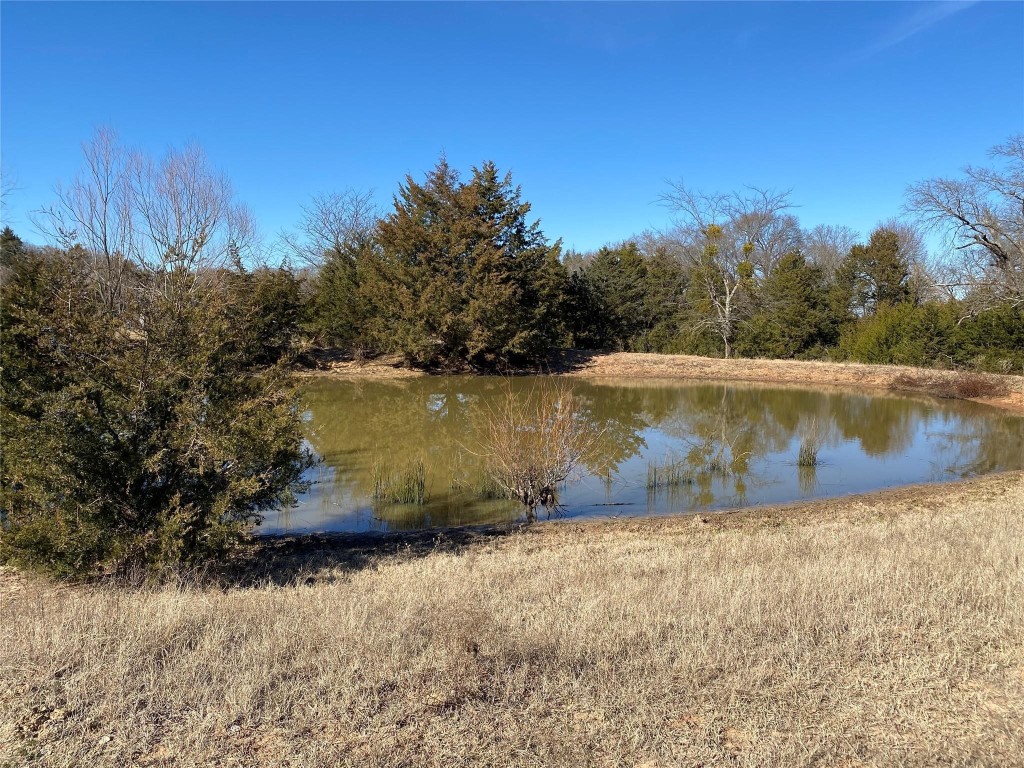 Tbd County Road 2100 Ivanhoe TX 75447