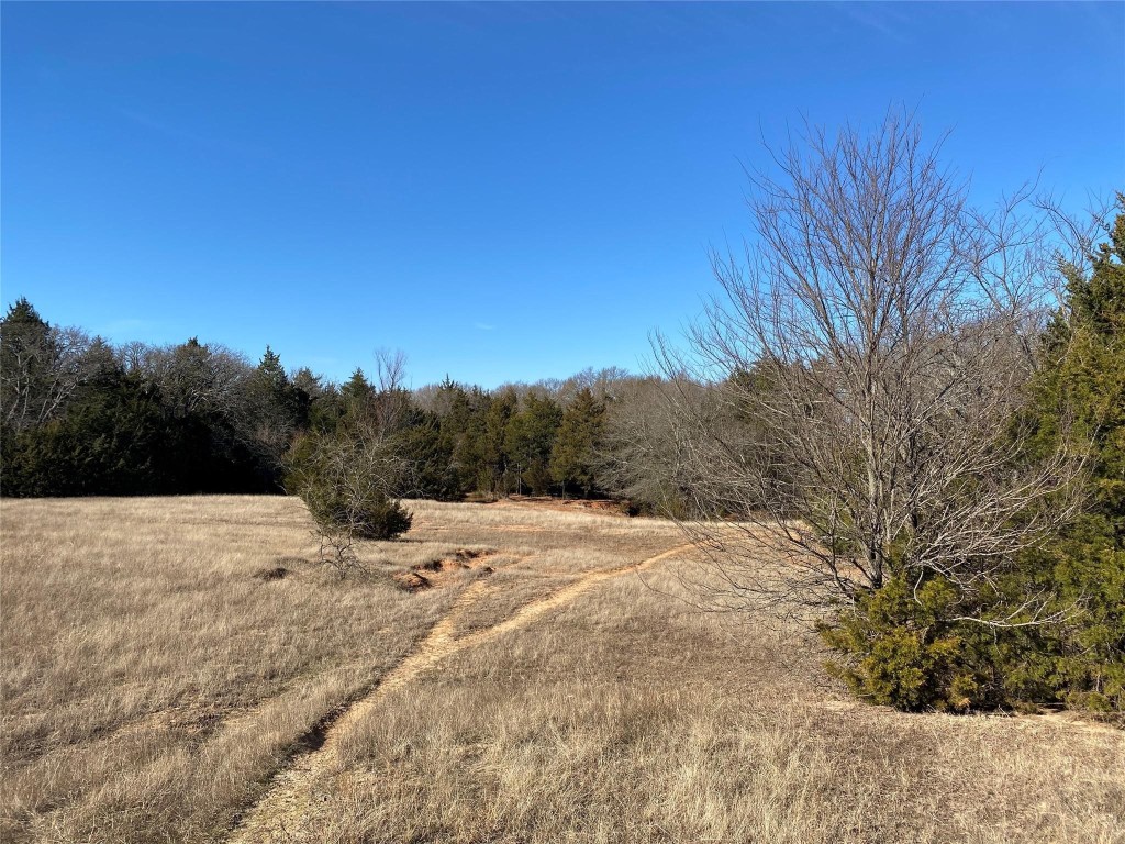 Tbd County Road 2100 Ivanhoe TX 75447