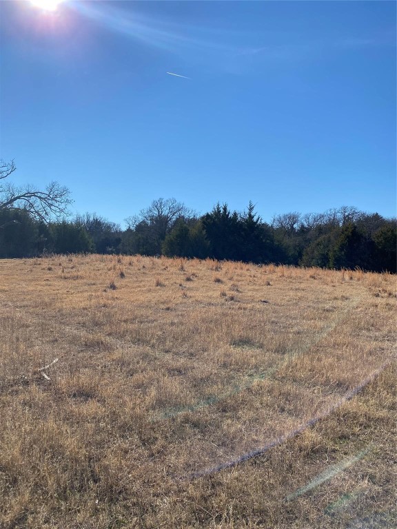 Tbd County Road 2100 Ivanhoe TX 75447