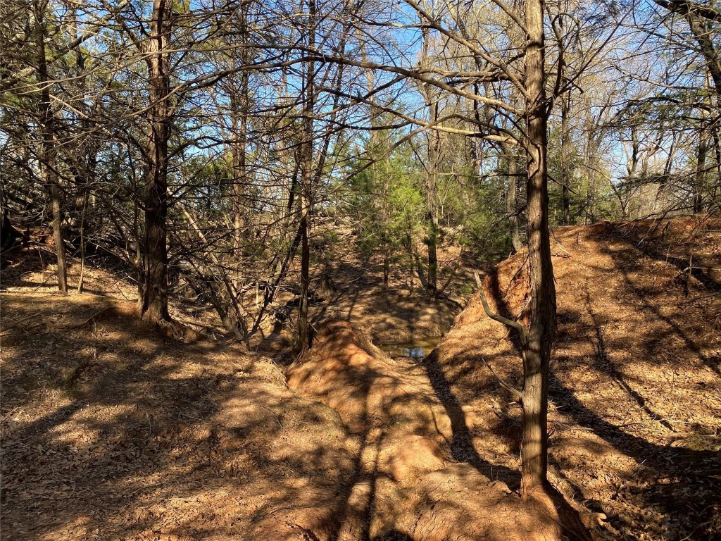 Tbd County Road 2100 Ivanhoe TX 75447
