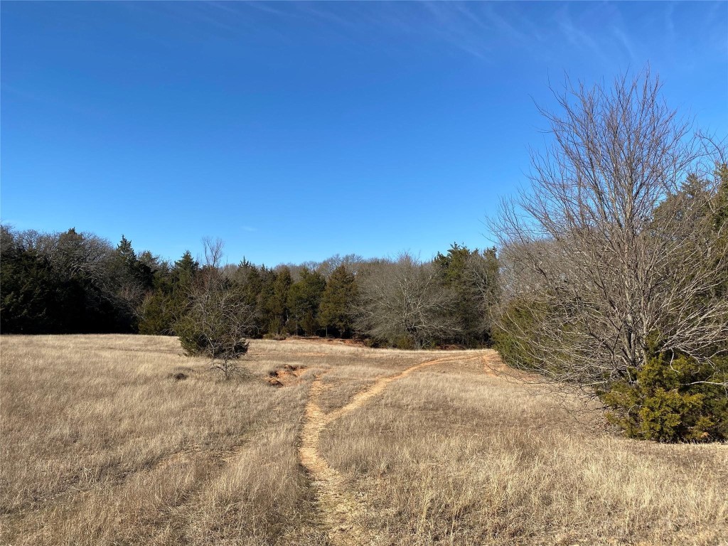 Tbd County Road 2100 Ivanhoe TX 75447