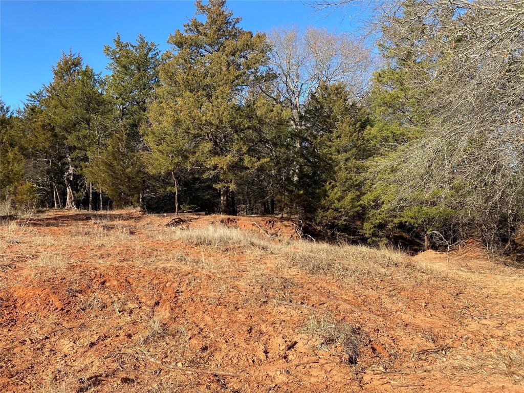 Tbd County Road 2100 Ivanhoe TX 75447