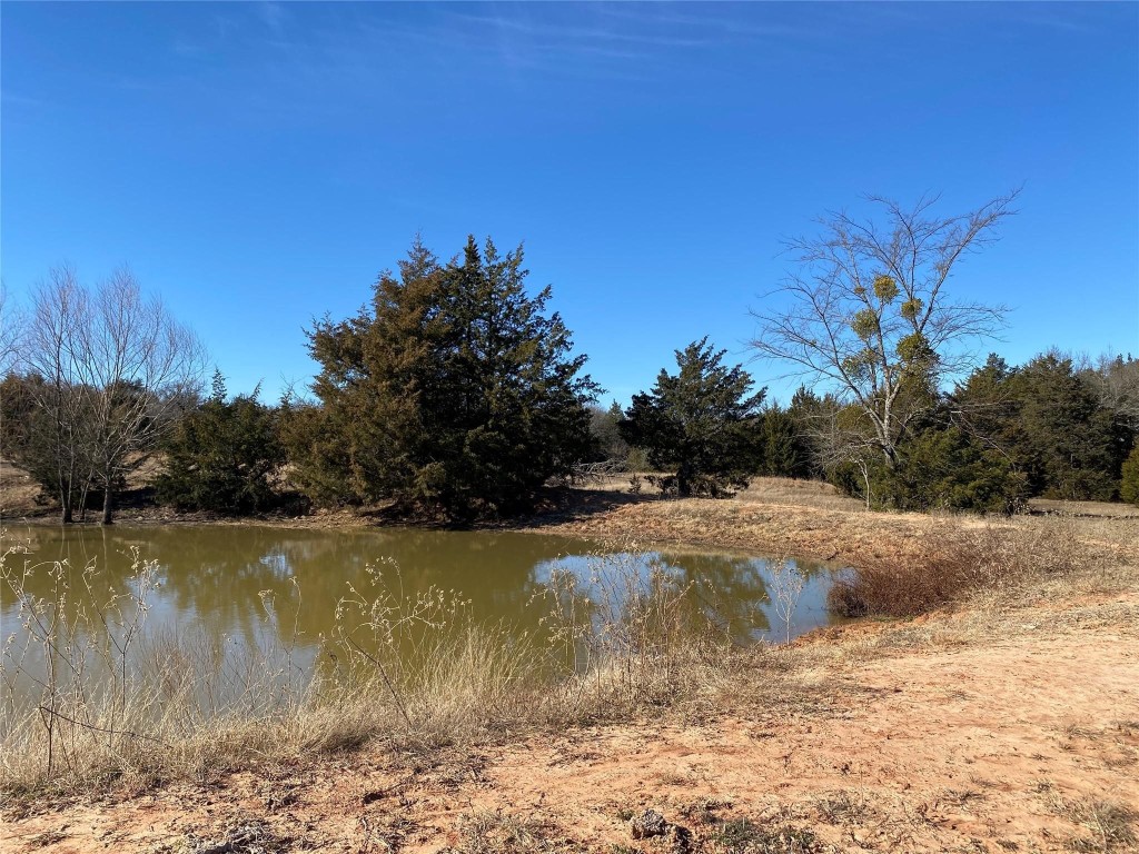 Tbd County Road 2100 Ivanhoe TX 75447