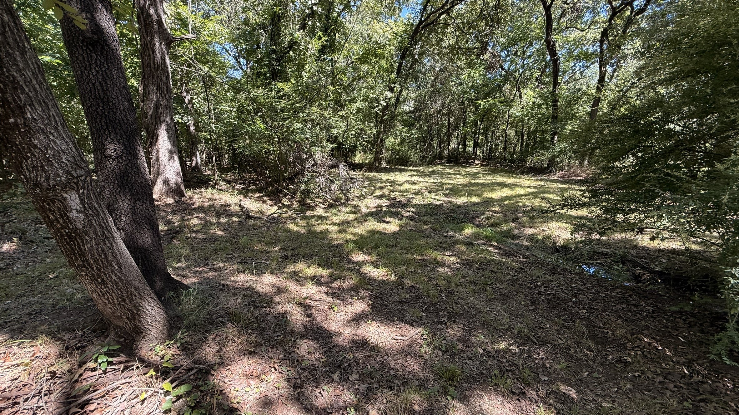 409 Spinnaker Run Oak Point TX 75068