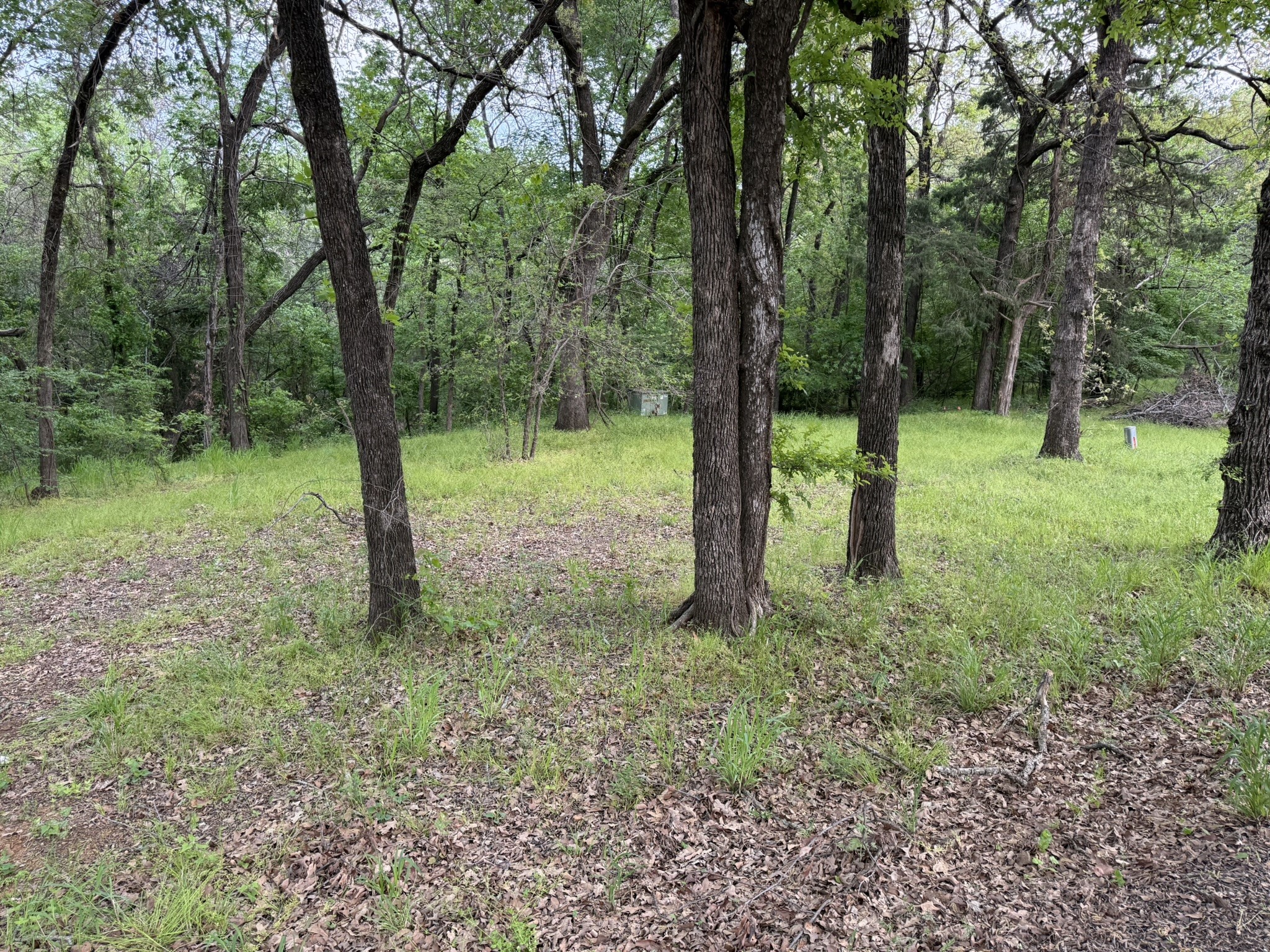 409 Spinnaker Run Oak Point TX 75068