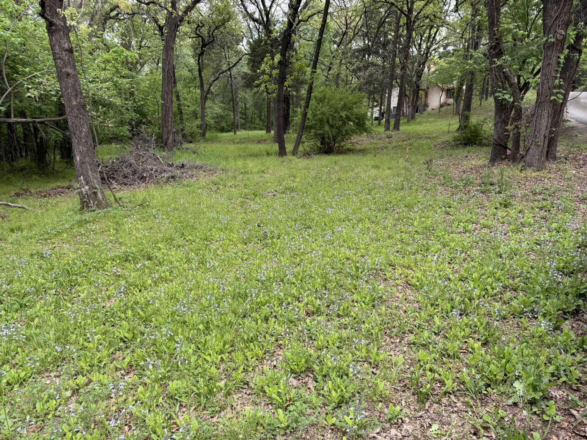 409 Spinnaker Run Oak Point TX 75068
