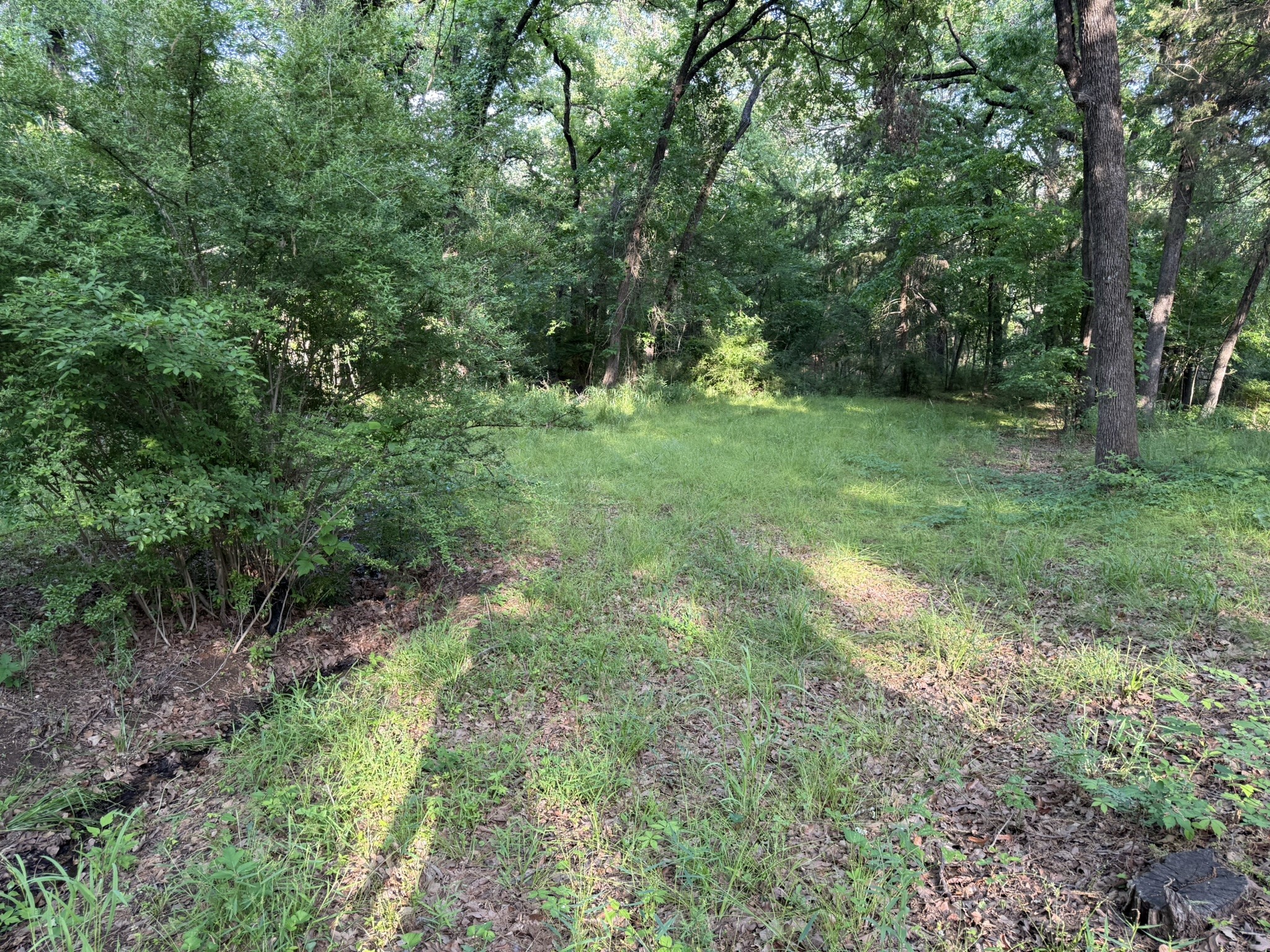 409 Spinnaker Run Oak Point TX 75068