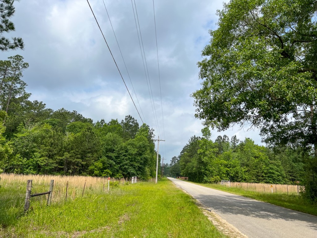 00000 Elise Gore Lane Silsbee TX 77656