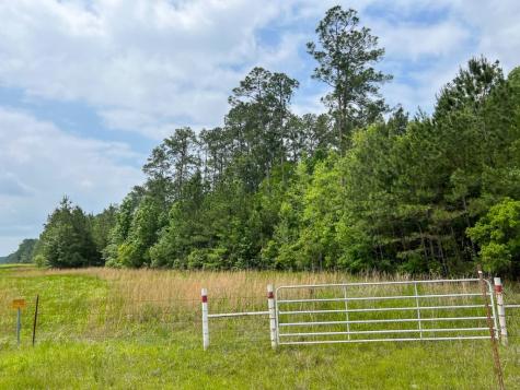 00000 Elise Gore Lane Silsbee TX 77656