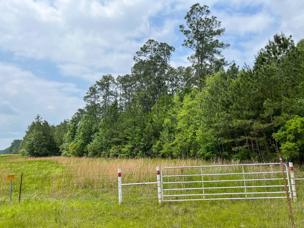 00000 Elise Gore Lane Silsbee TX 77656