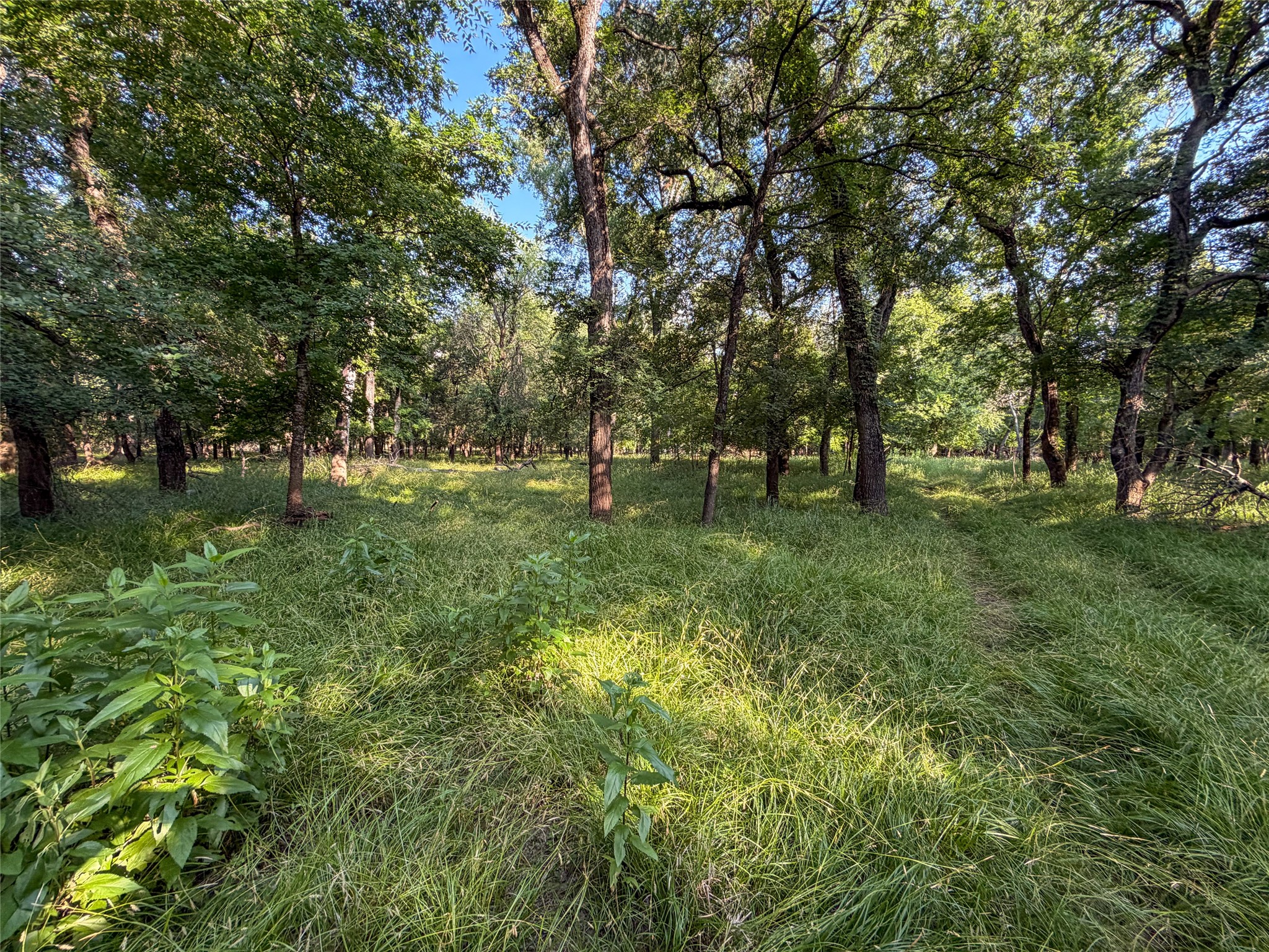 449 Private Road 4670 Boyd TX 76023