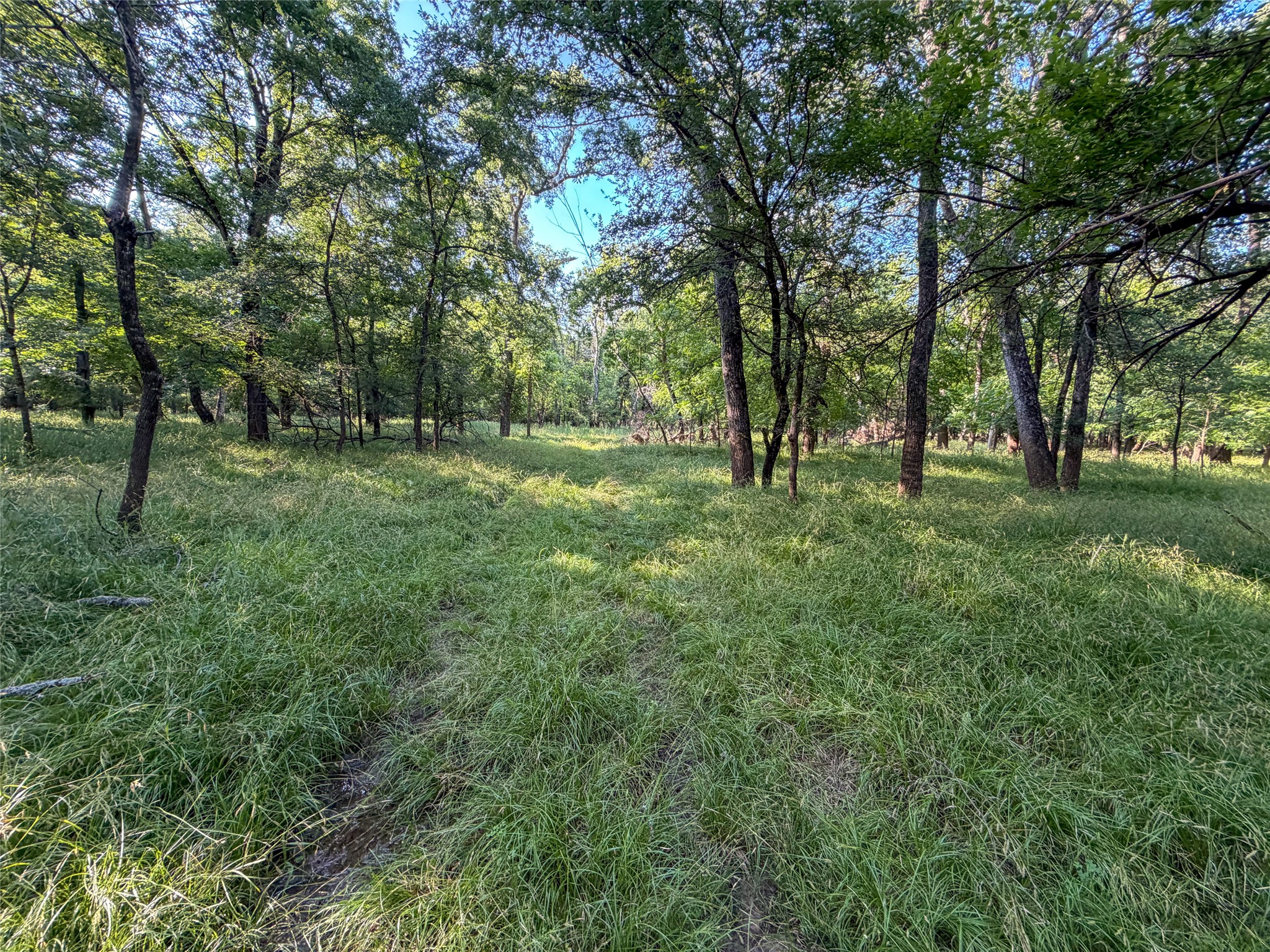 449 Private Road 4670 Boyd TX 76023
