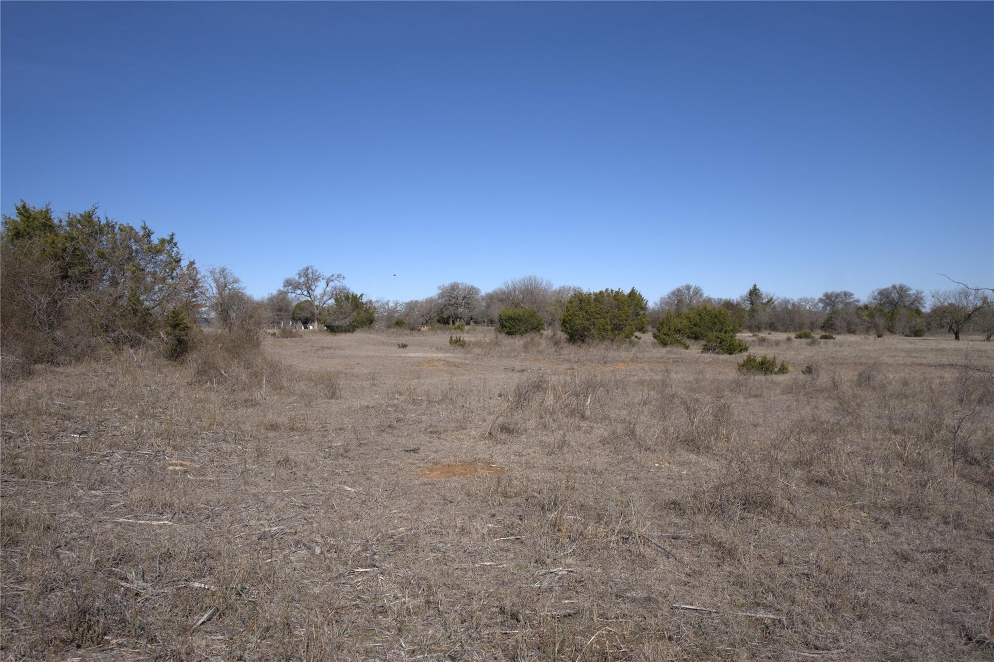 Lot 8 Harper Trail Palo Pinto TX 76484