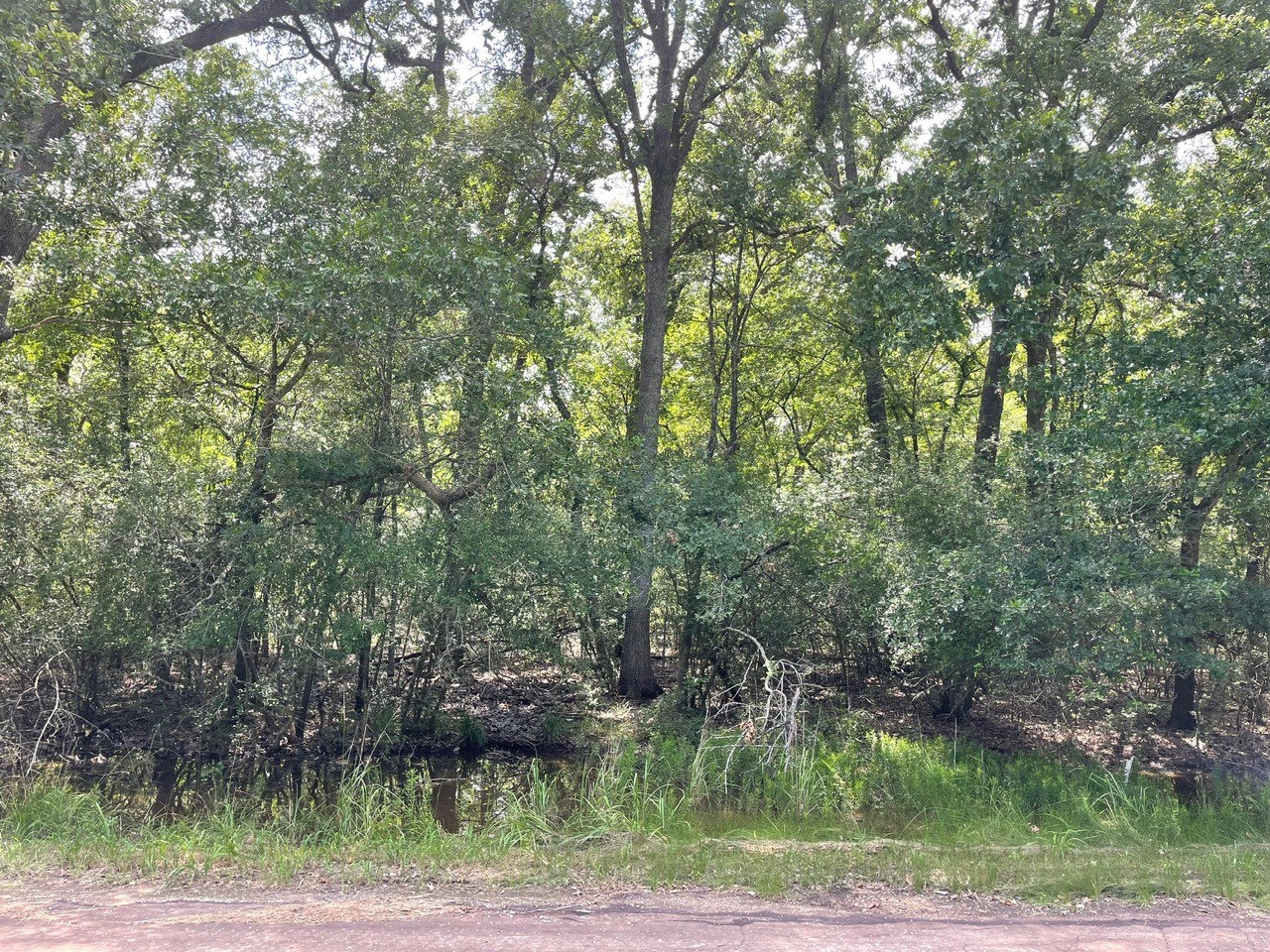 Tbd County Road 750 Thornton TX 76687