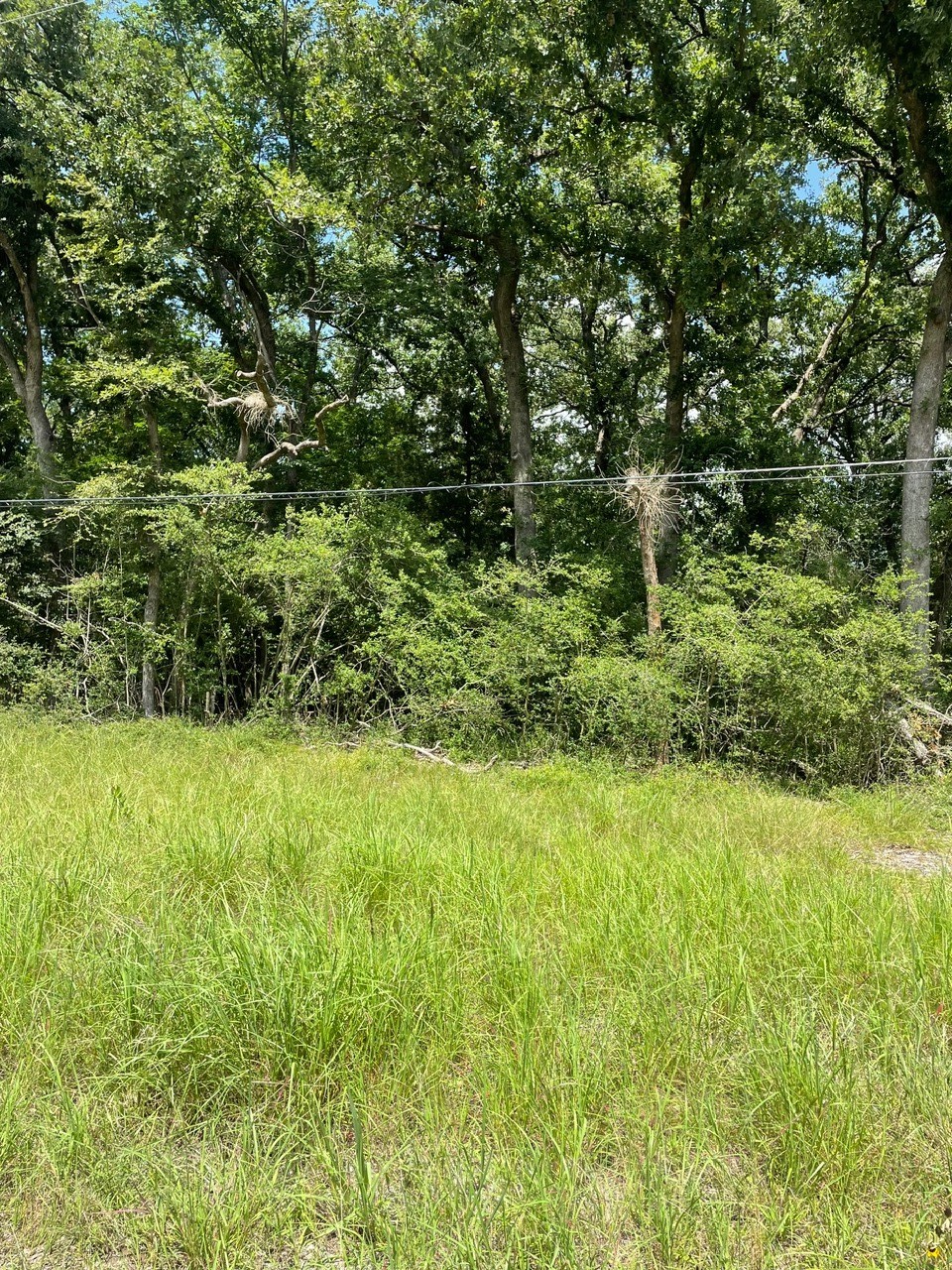 Tbd County Road 750 Thornton TX 76687
