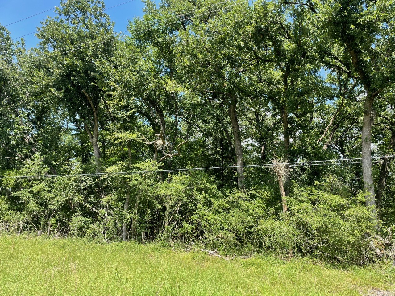 Tbd County Road 750 Thornton TX 76687