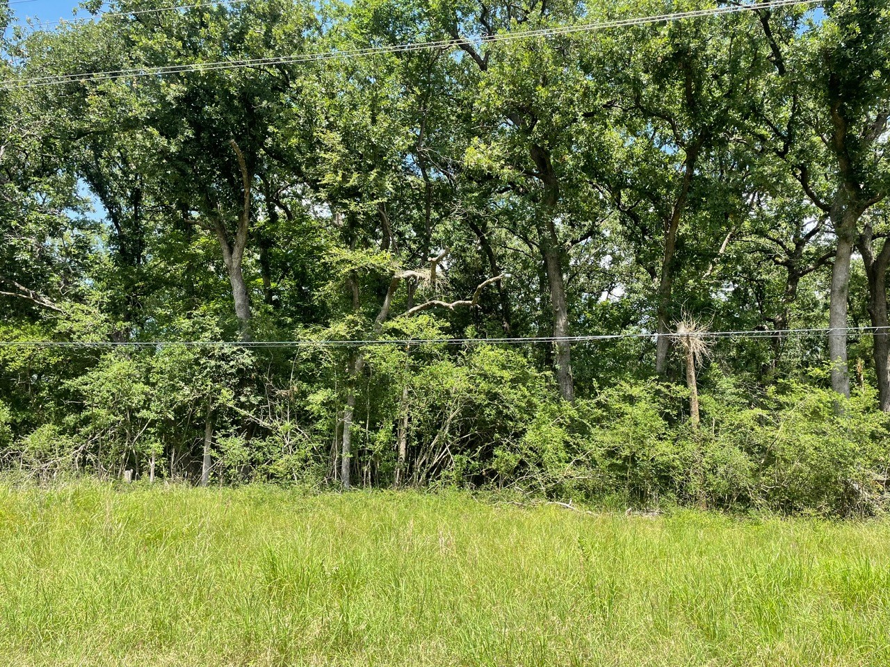 Tbd County Road 750 Thornton TX 76687