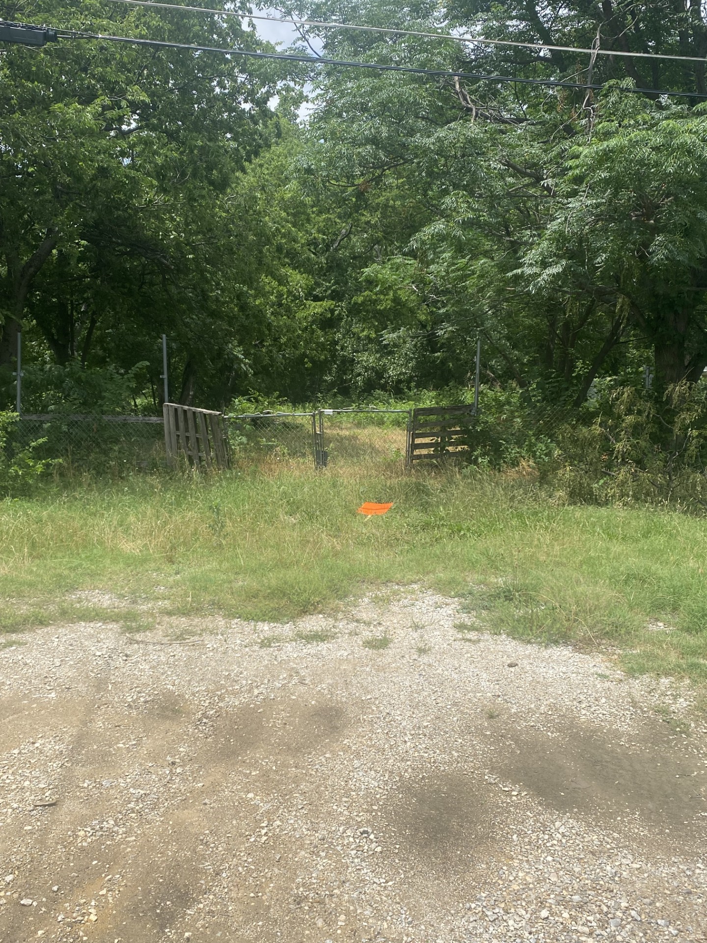 3203 Bernal Drive Dallas TX 75212