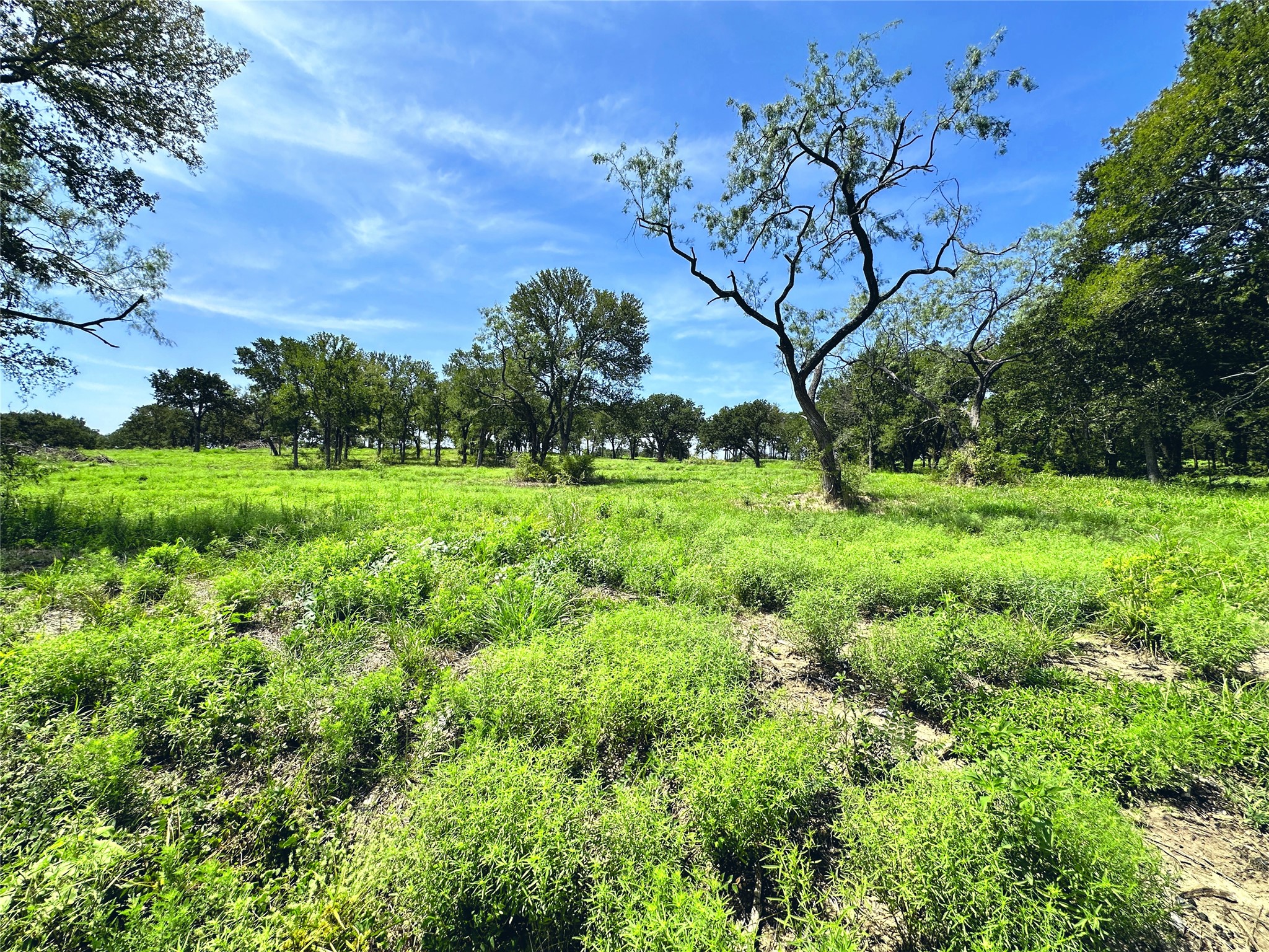 Lot 6 Carmel Valley Corsicana TX 75109