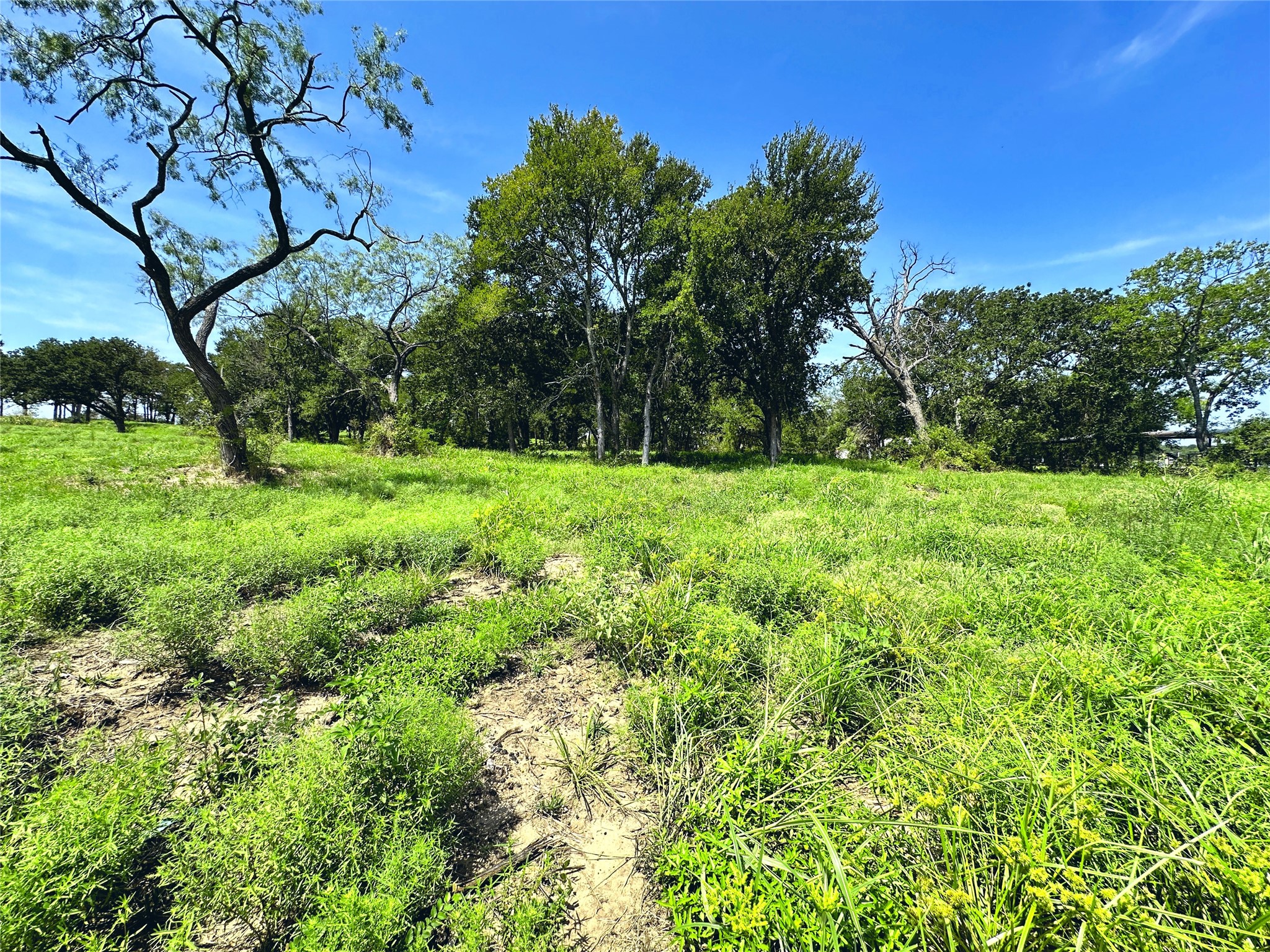 Lot 6 Carmel Valley Corsicana TX 75109