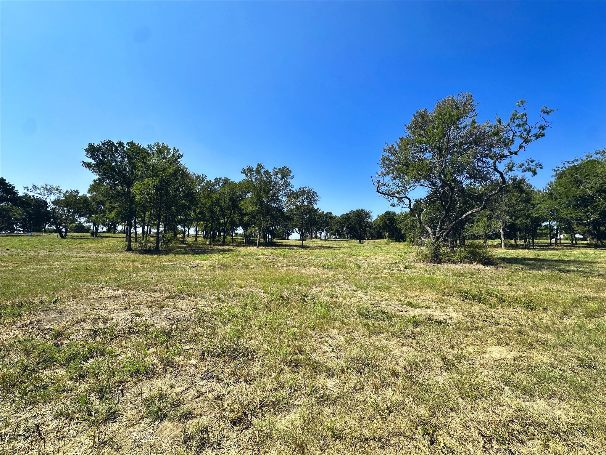 Lot 6 Carmel Valley Corsicana TX 75109