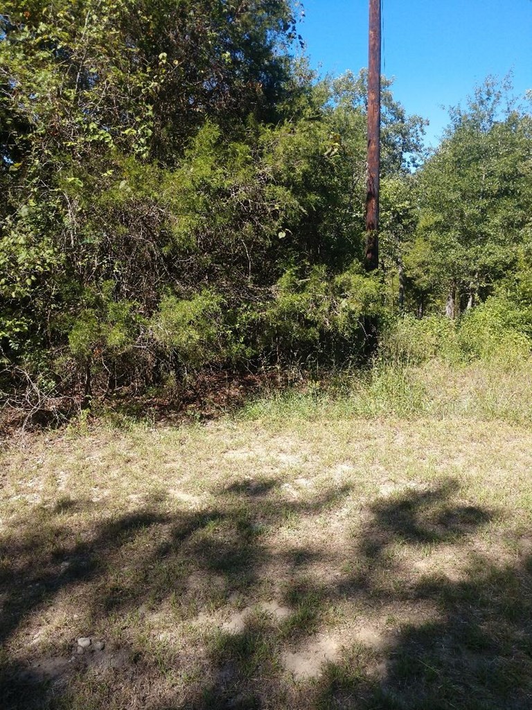 0 Kathy Circle Malakoff TX 75148