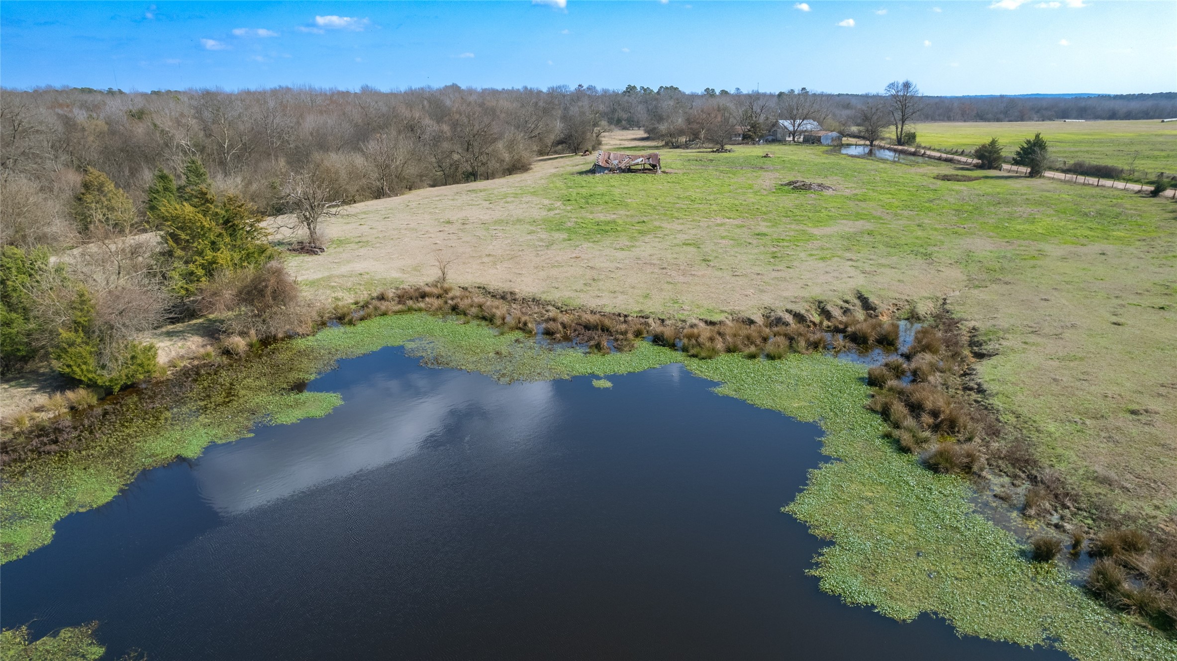 102 Acres County Road 2376 Winnsboro TX 75494