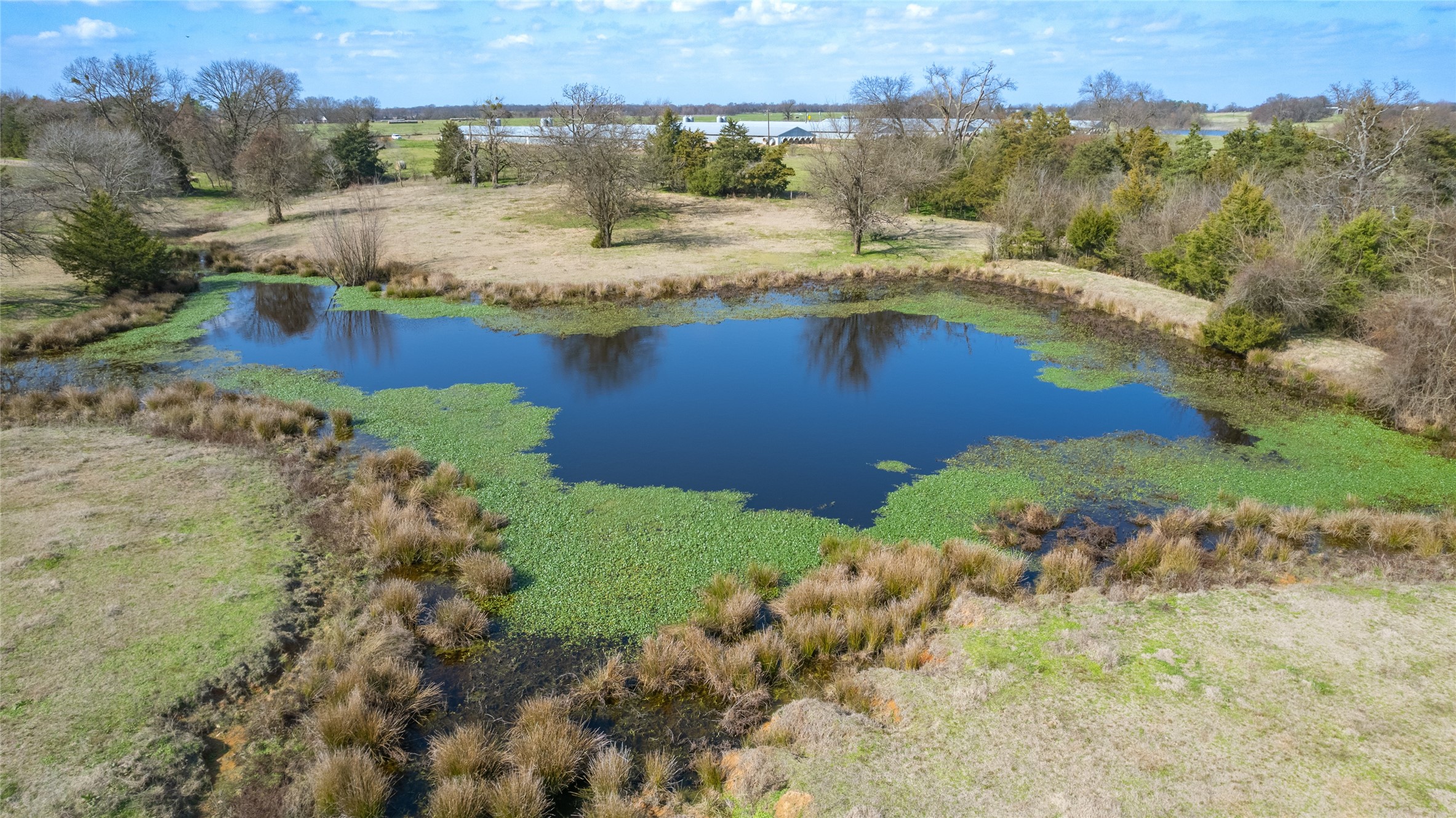 102 Acres County Road 2376 Winnsboro TX 75494