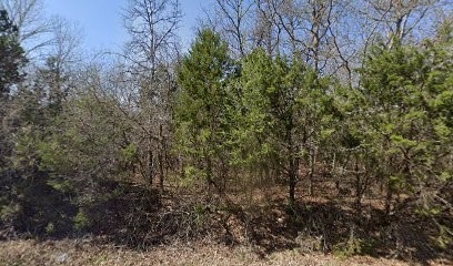 6210 Texas Trail Granbury TX 76048