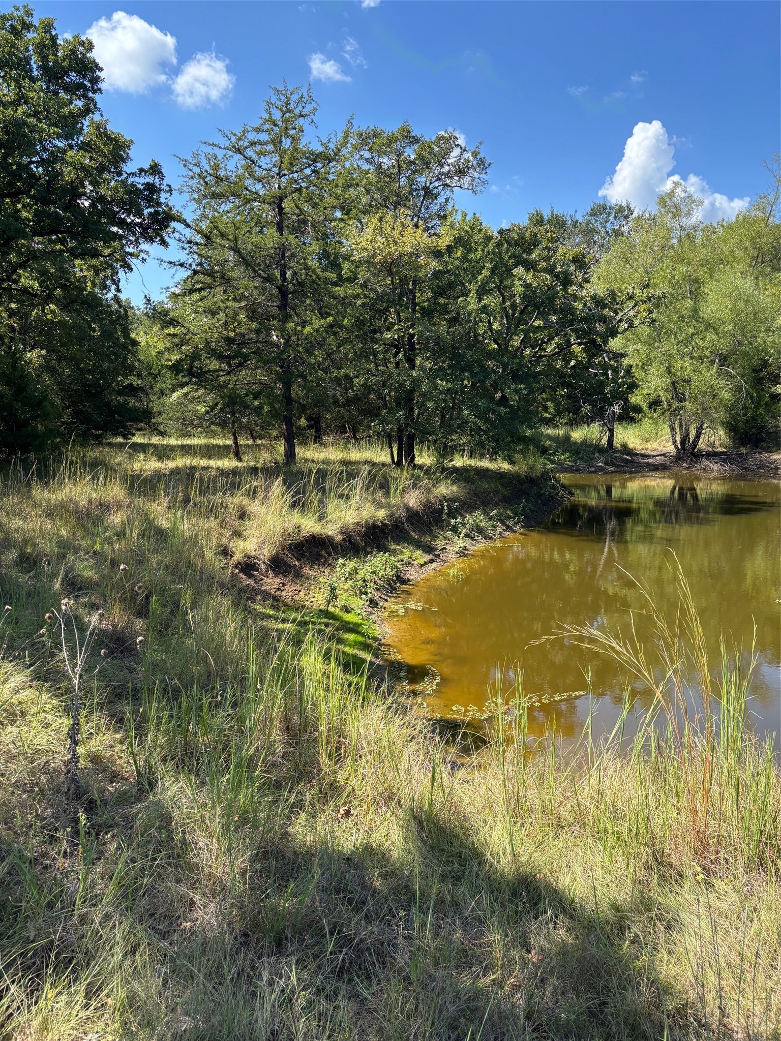 10236 County Road 2326 Terrell TX 75160