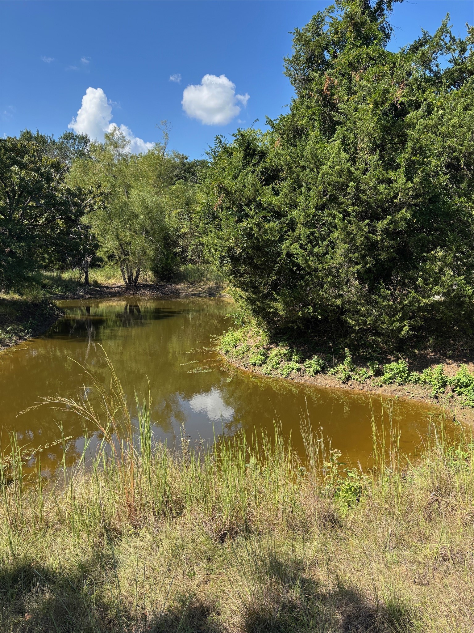 10236 County Road 2326 Terrell TX 75160