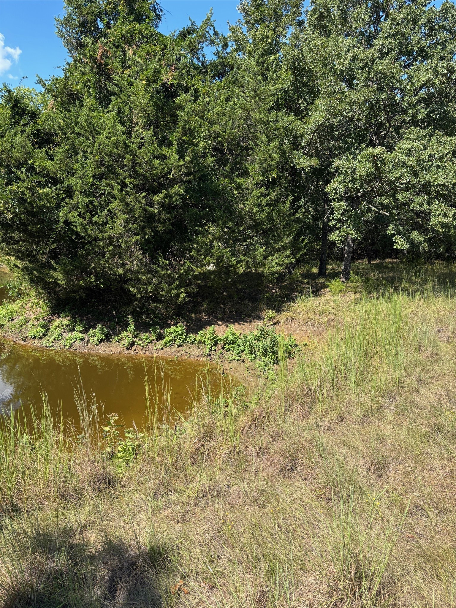 10236 County Road 2326 Terrell TX 75160
