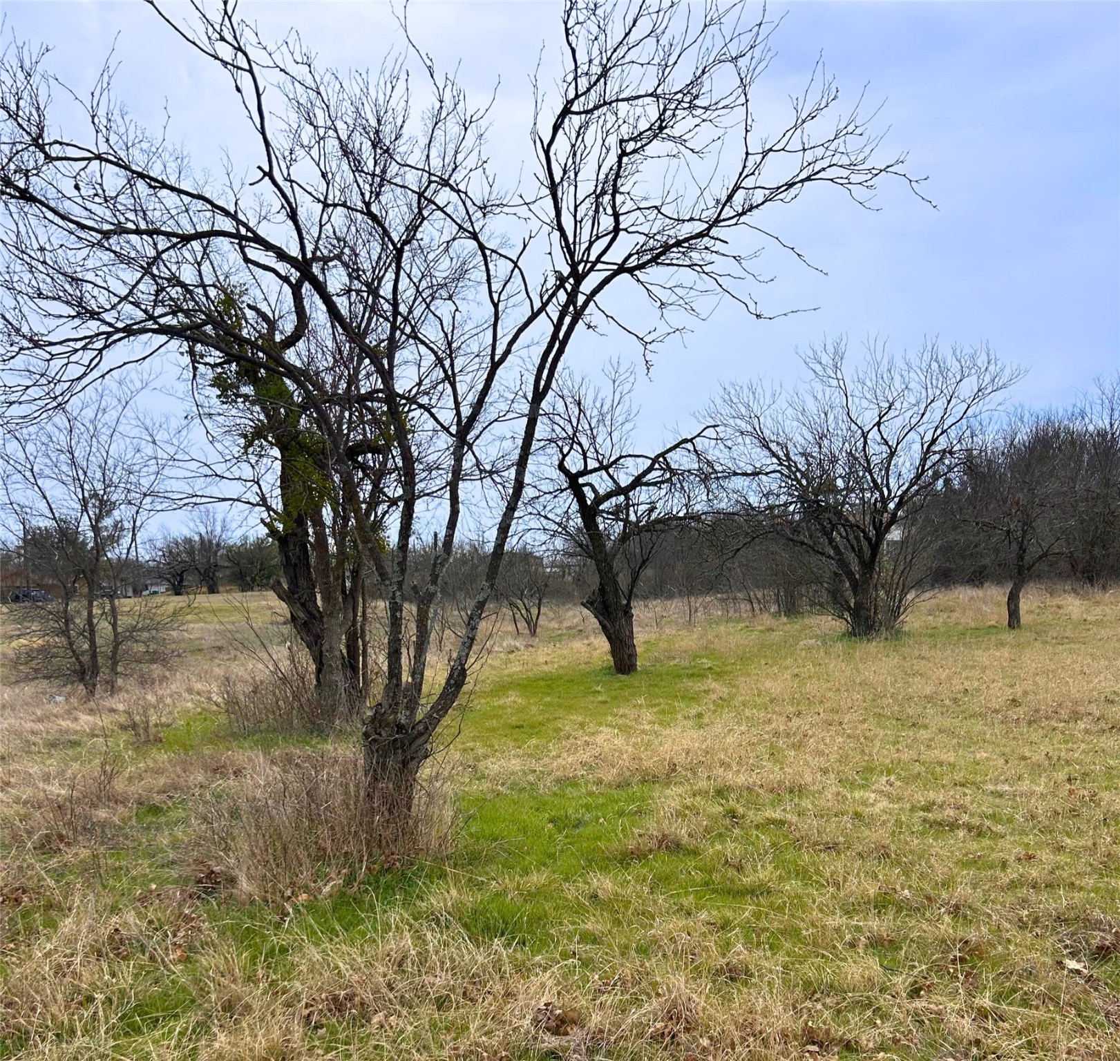 0000 Tryall Court Runaway Bay TX 76426