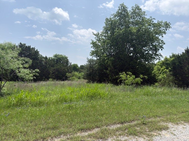 38067 Brookside Drive Whitney TX 76692