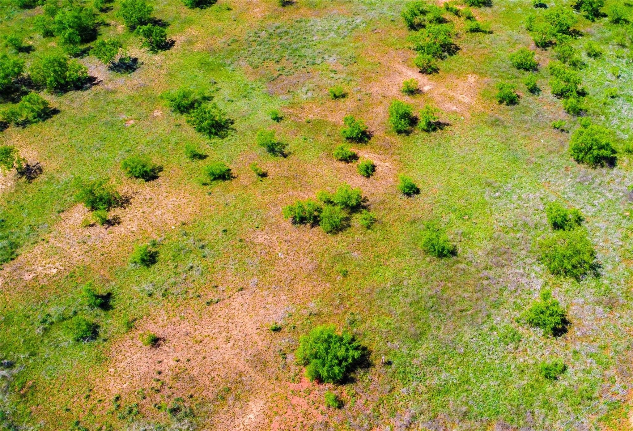 Lot 101 New Hope Road Palo Pinto TX 76484