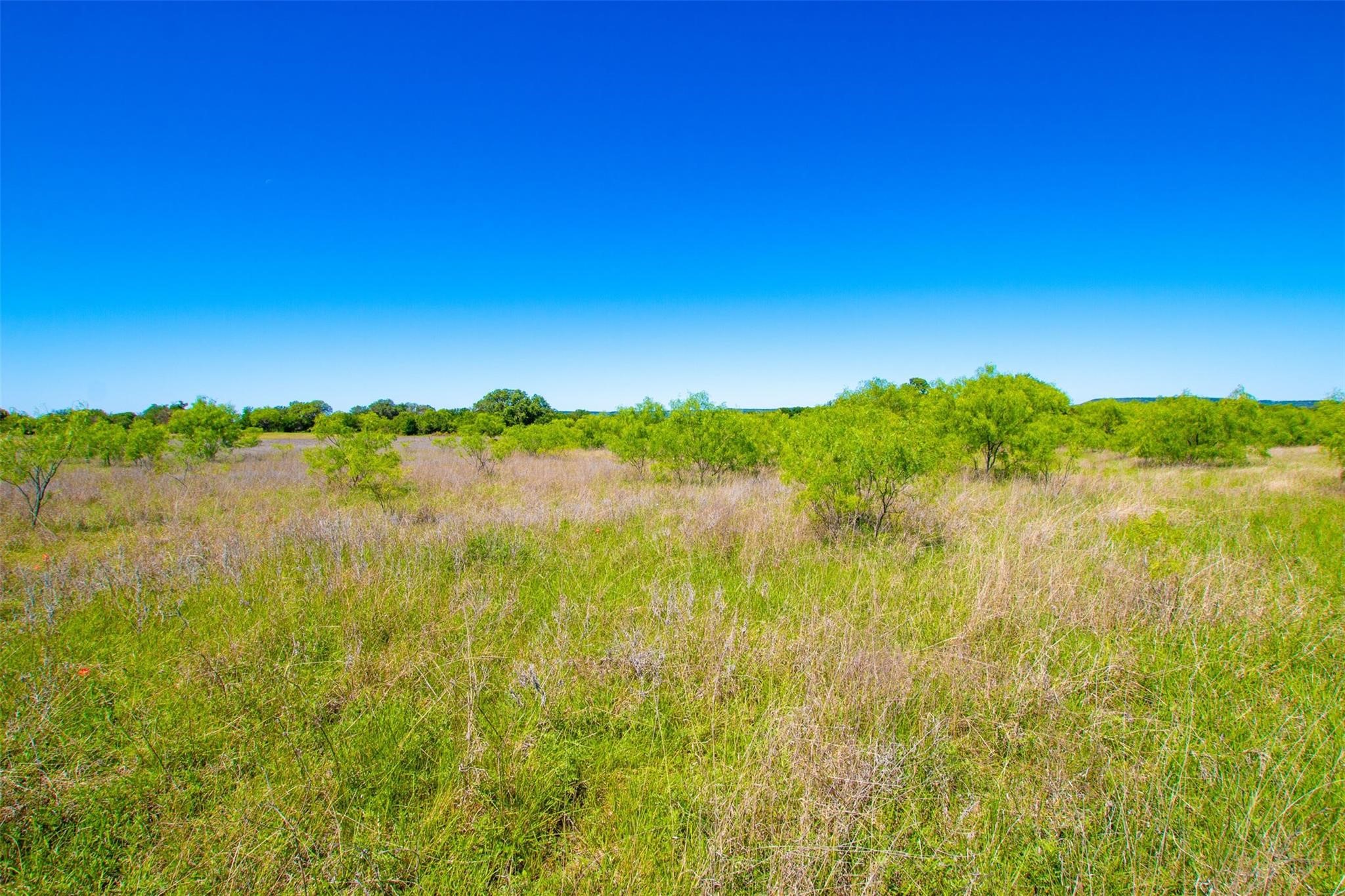 Lot 101 New Hope Road Palo Pinto TX 76484