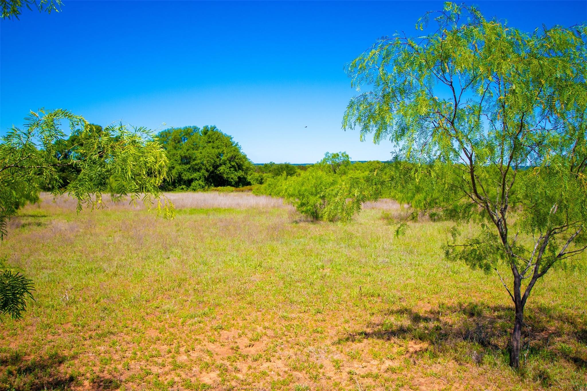 Lot 101 New Hope Road Palo Pinto TX 76484